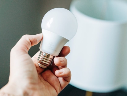 hand holding lightbulb